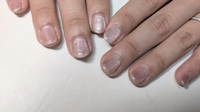 サンプルから選べる定額コース