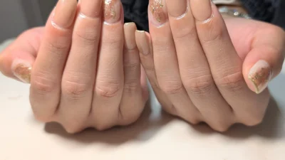 サンプルから選べる定額コース