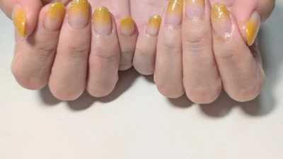 パール／ラメグラデーション1色のみ