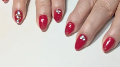 サンプルから選べる定額コース