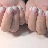 パール／ラメグラデーション1色のみ