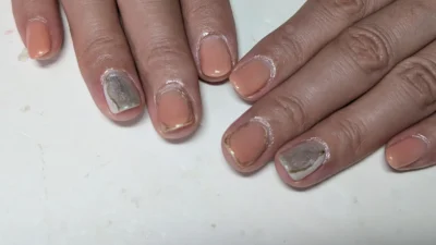 サンプルから選べる定額コース
